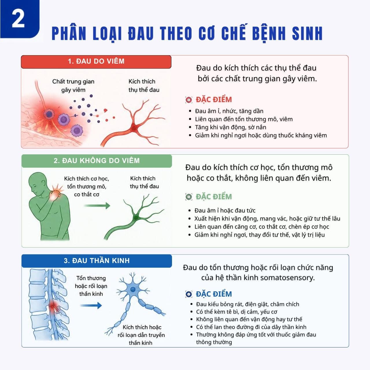 Phân loại đau theo cơ chế bệnh sinh